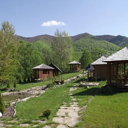 Zoryani Karpaty *