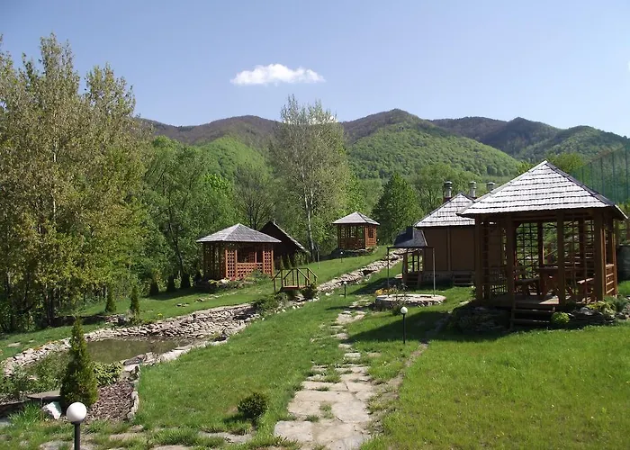 Zoryani Karpaty *
